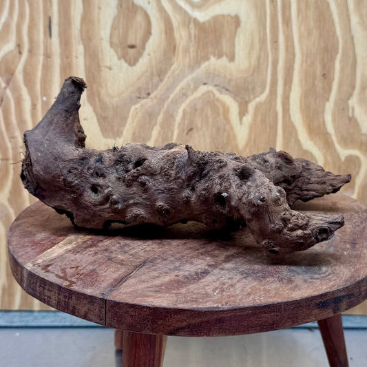 Reptile Realm Natural Wood Natural Wood Piece H