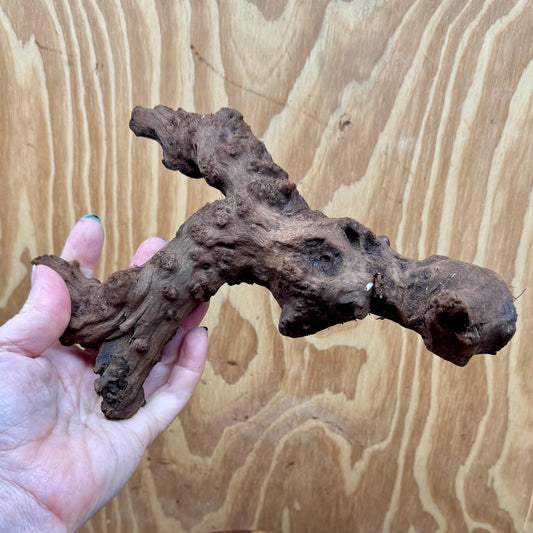 Reptile Realm Natural Wood Natural Wood Piece H