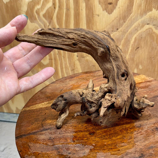 Reptile Realm Natural Wood Natural Wood Piece I