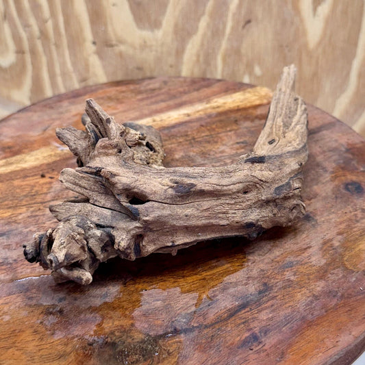 Reptile Realm Natural Wood Natural Wood Piece I