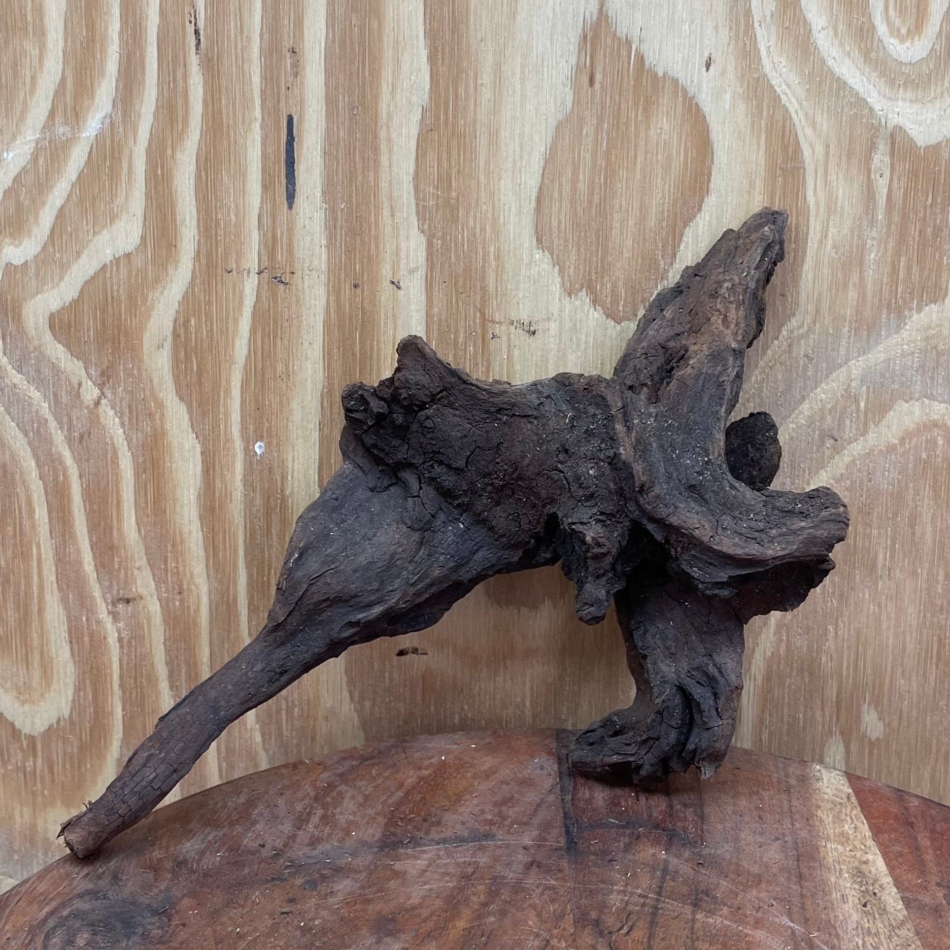 Reptile Realm Natural Wood Natural Wood Piece I