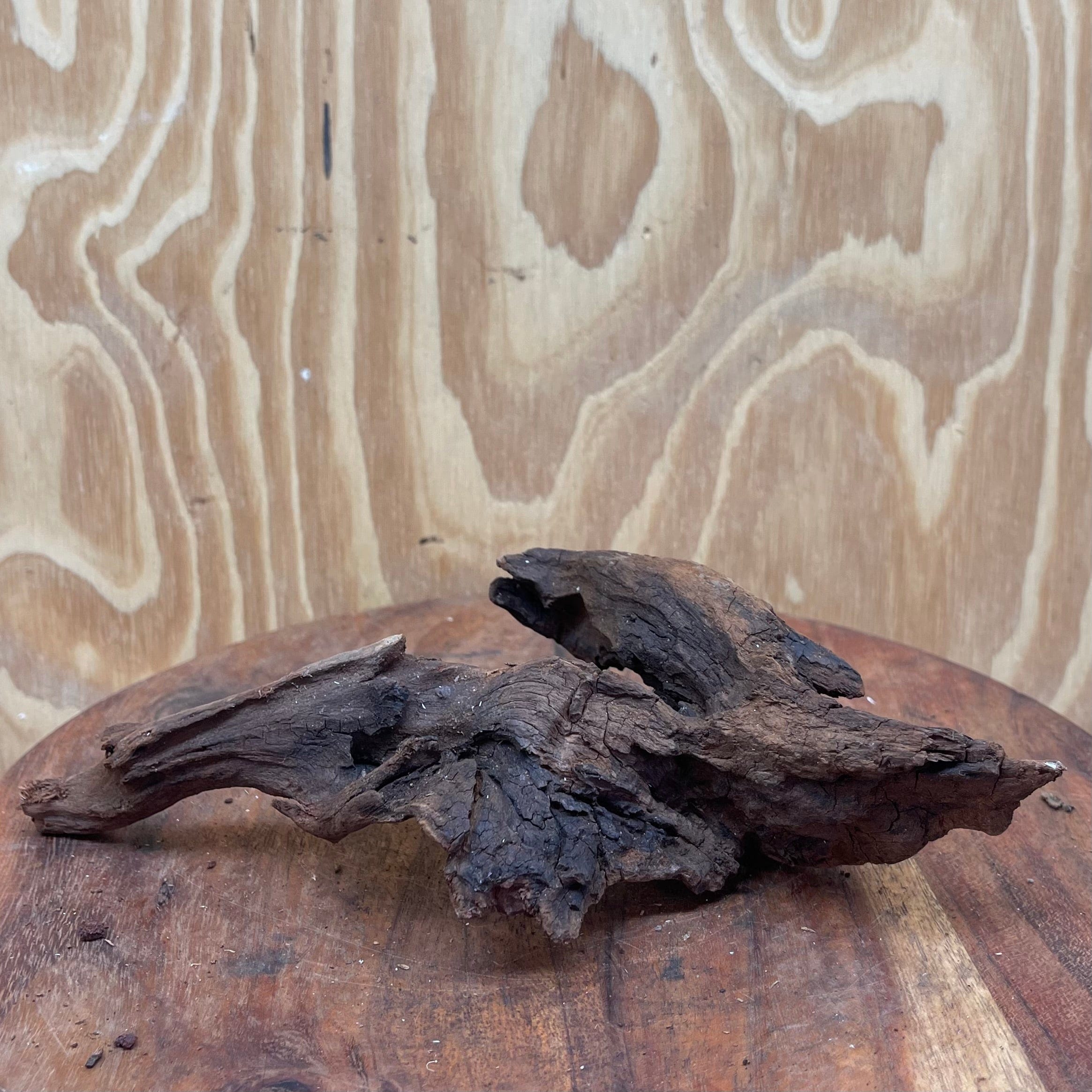 Reptile Realm Natural Wood Natural Wood Piece I