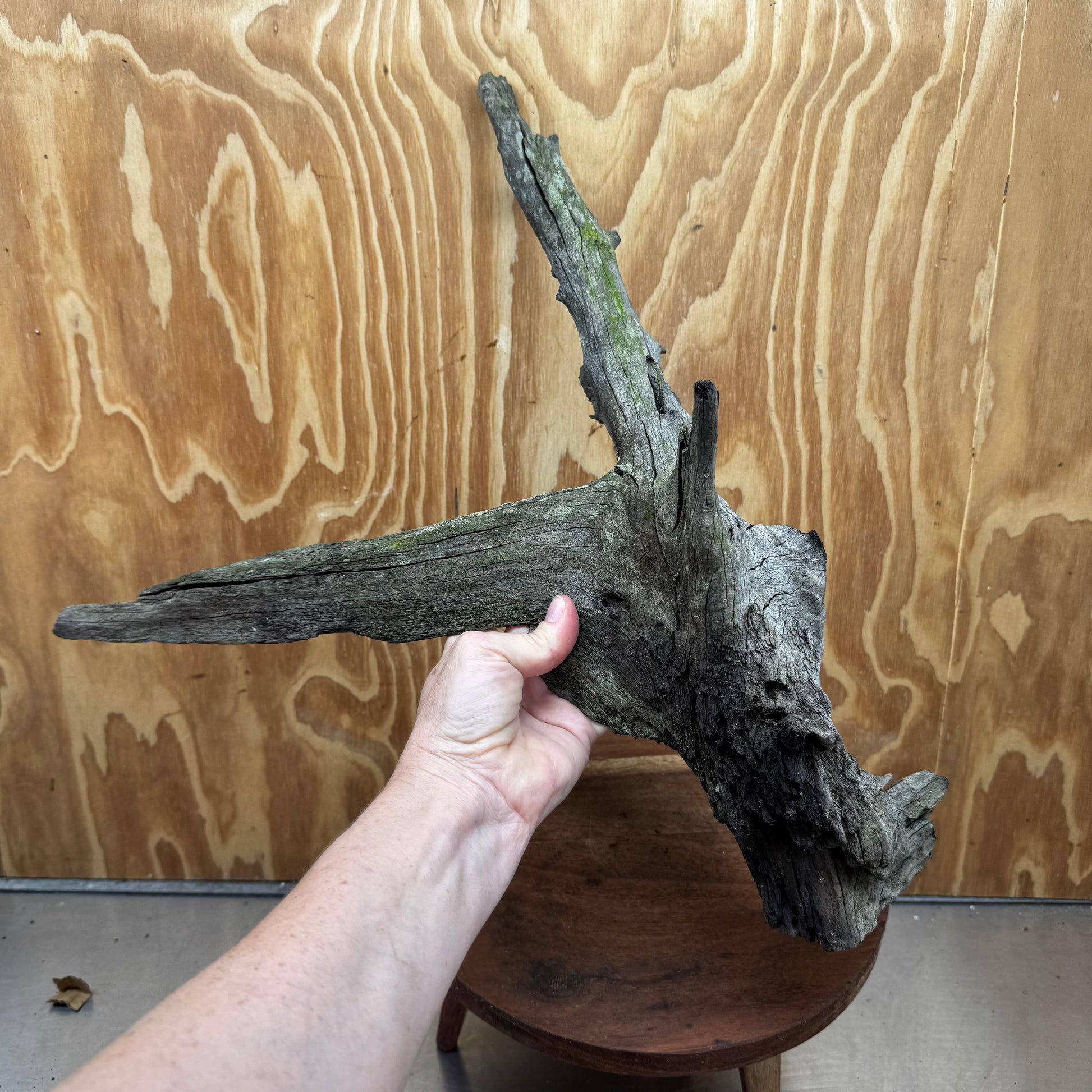 Reptile Realm Natural Wood Natural Wood Piece Mega 1