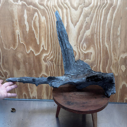 Reptile Realm Natural Wood Natural Wood Piece Mega 1