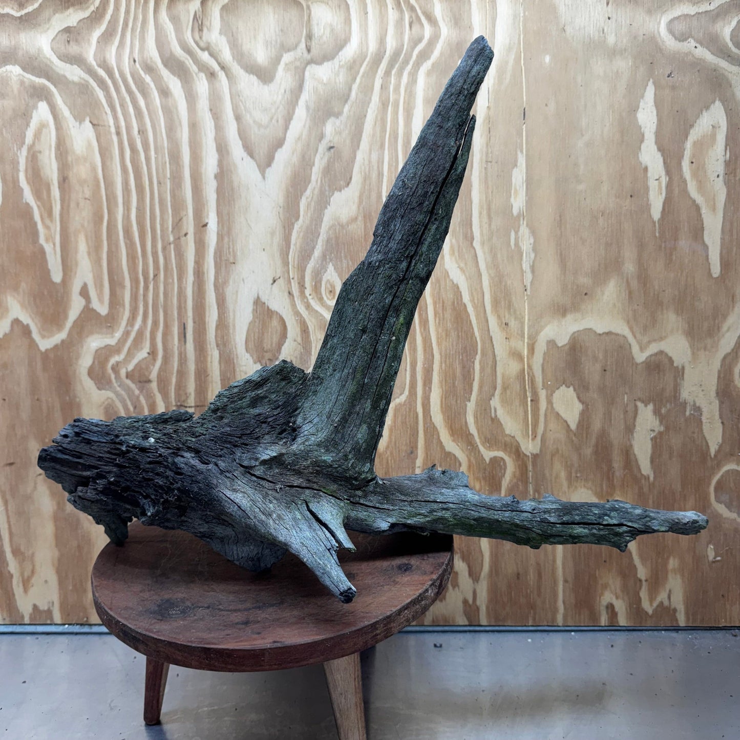 Reptile Realm Natural Wood Natural Wood Piece Mega 1