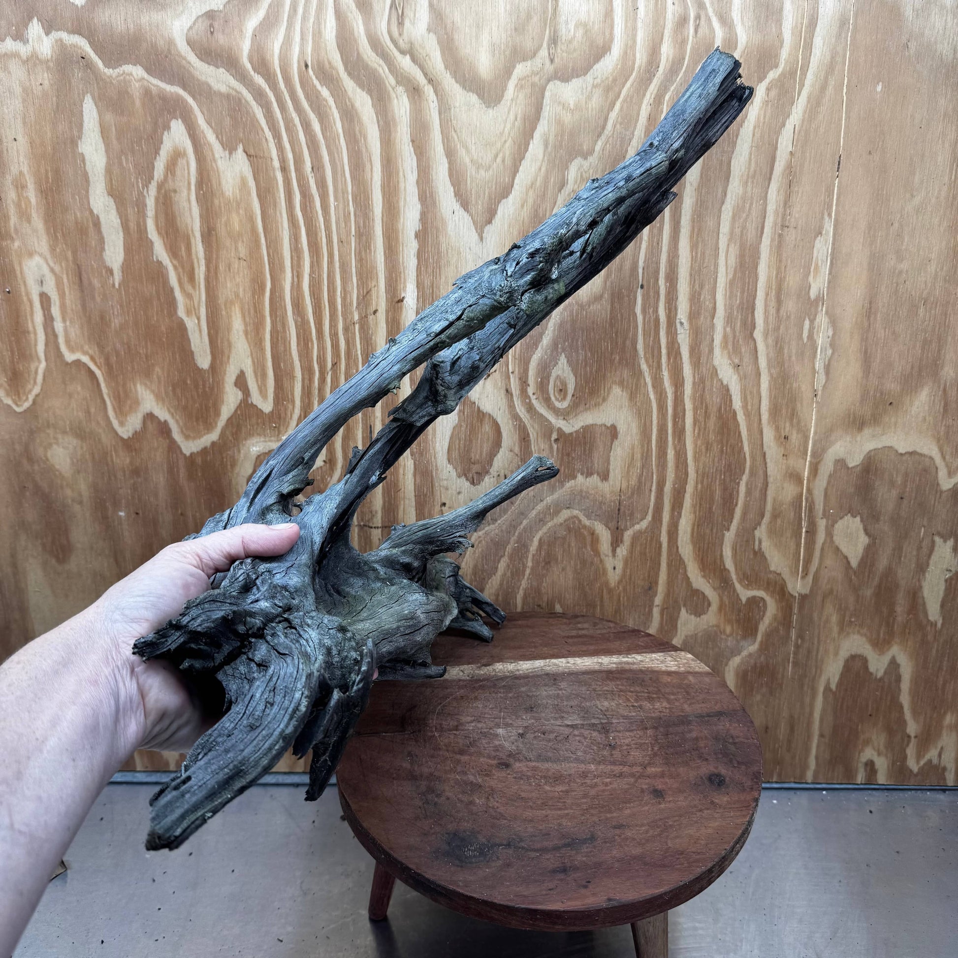 Reptile Realm Natural Wood Natural Wood Piece Mega 2