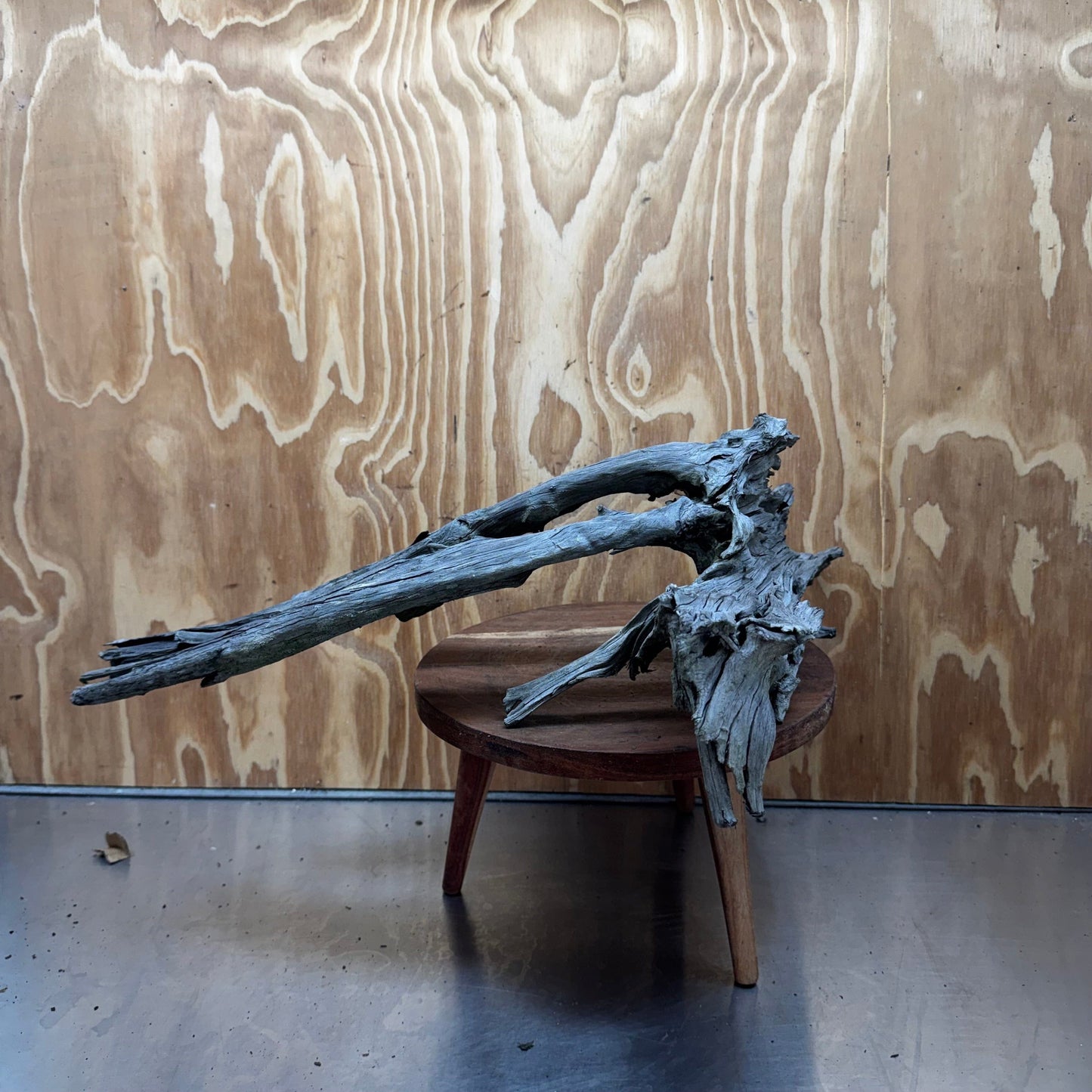 Reptile Realm Natural Wood Natural Wood Piece Mega 2