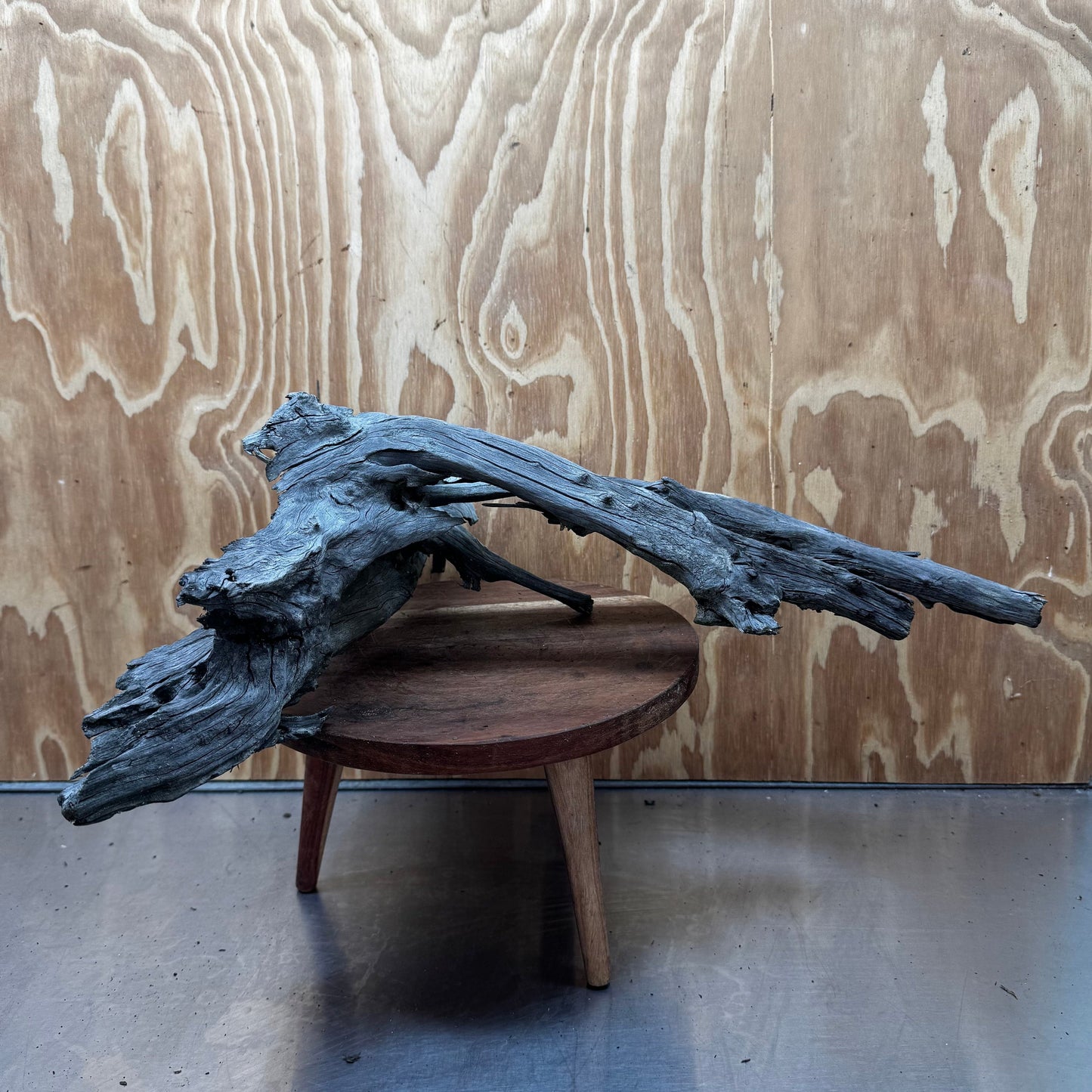 Reptile Realm Natural Wood Natural Wood Piece Mega 2