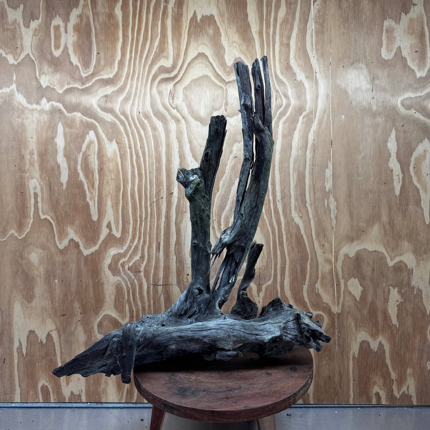 Reptile Realm Natural Wood Natural Wood Piece Mega 2