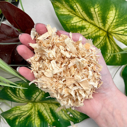 Reptile Realm Reptile Bedding & Substrates Reptile Realm Aspen Bedding Substrate - 6 litres