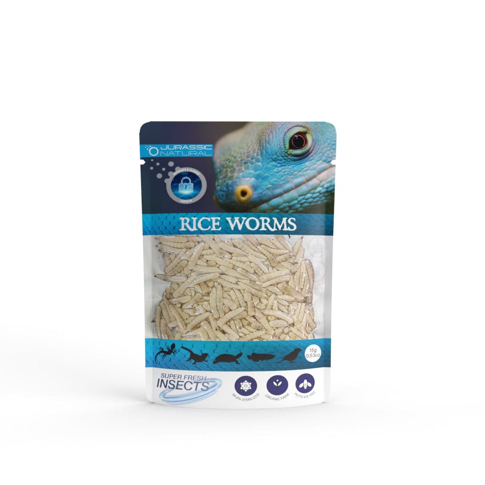 Reptile Realm Riceworms