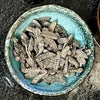 Load image into Gallery viewer, Reptile Realm SUPER FRESH INSECTS Black Soldier Fly Larvae - Super Fresh Insects