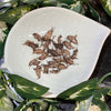 Load image into Gallery viewer, Reptile Realm SUPER FRESH INSECTS Crickets - Super Fresh Insects
