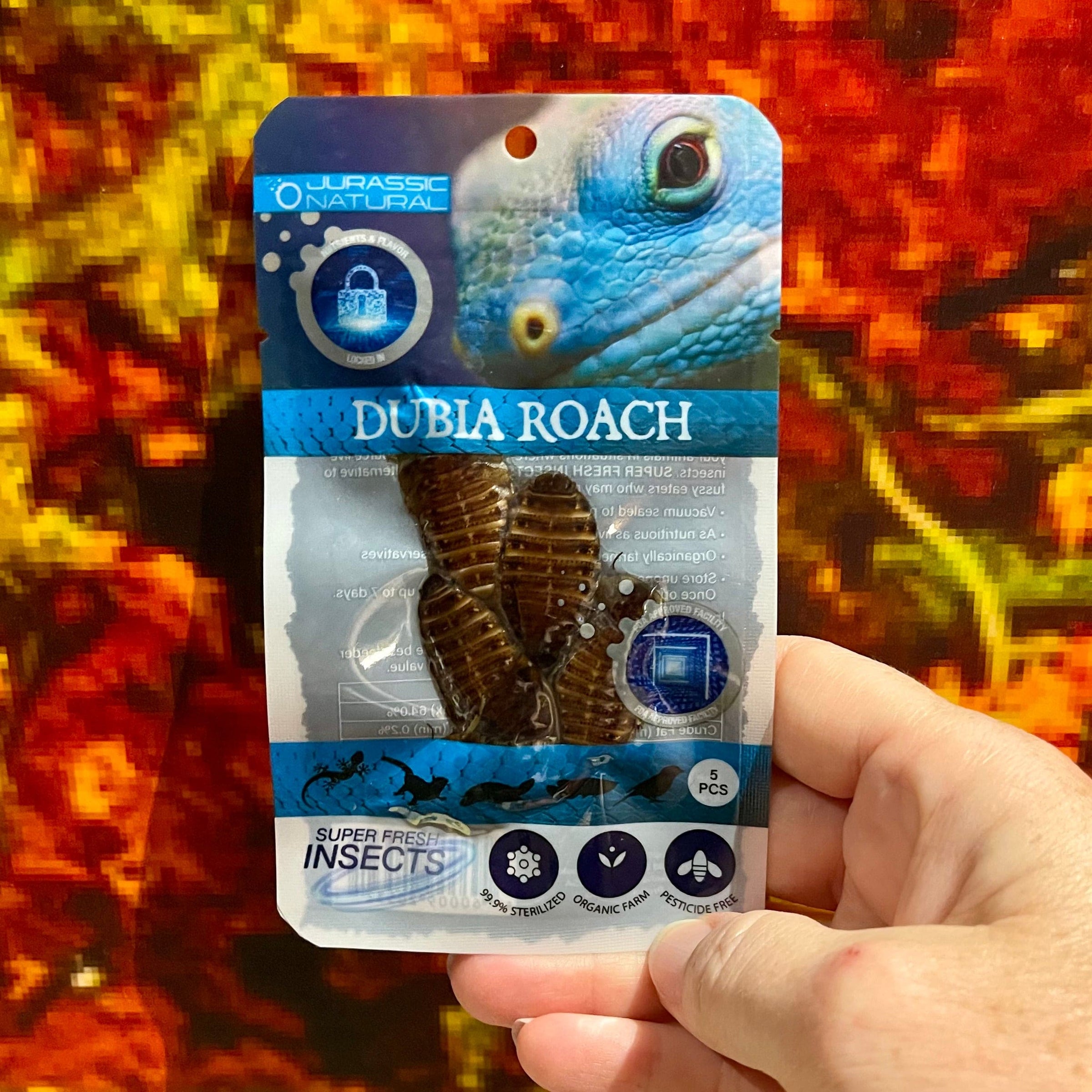 Jurassic Natural - Super Fresh Insects – Reptile Realm