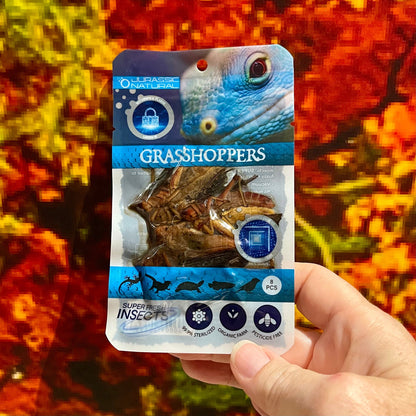Reptile Realm SUPER FRESH INSECTS Grasshoppers - Super Fresh Insects