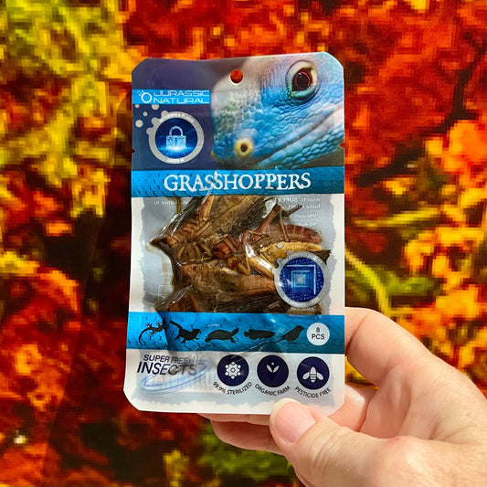 Reptile Realm SUPER FRESH INSECTS Grasshoppers - Super Fresh Insects