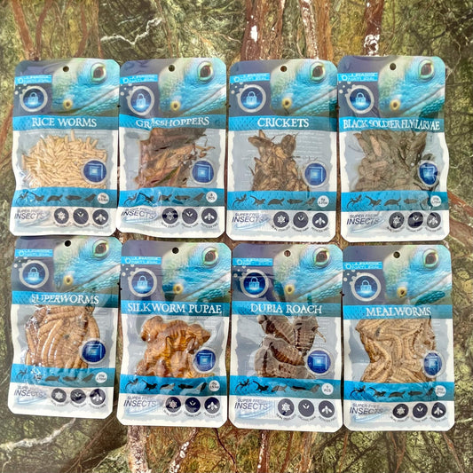 Reptile Realm SUPER FRESH INSECTS Jurassic Naturals Super Fresh Insects  - Mixed Box of 16