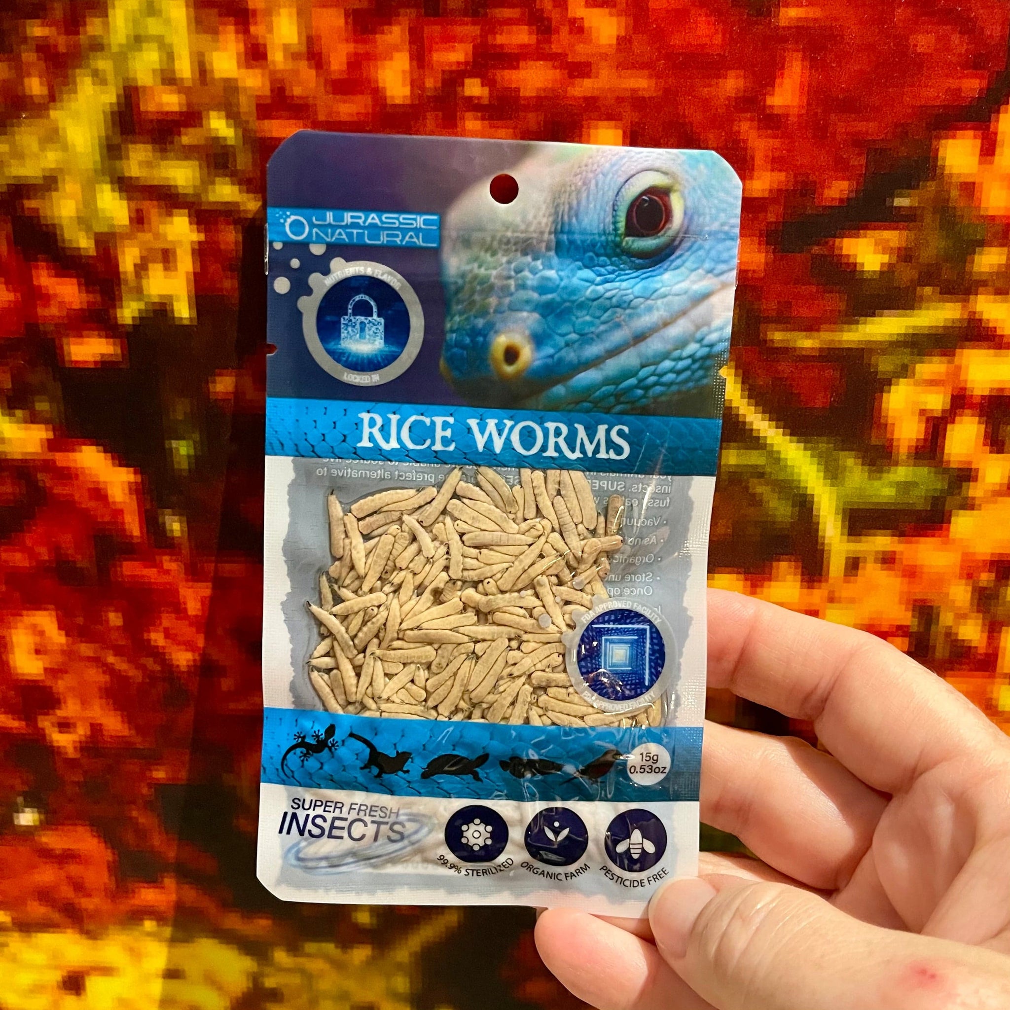 Riceworms - Super Fresh Insects – Reptile Realm