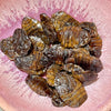 Reptile Realm SUPER FRESH INSECTS Silkworm Pupae - Super Fresh Insects