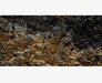 Tank Terrarium Australia Reptile Decor 2 foot (40cm high by 60cm wide) Gold Rock Background Poster