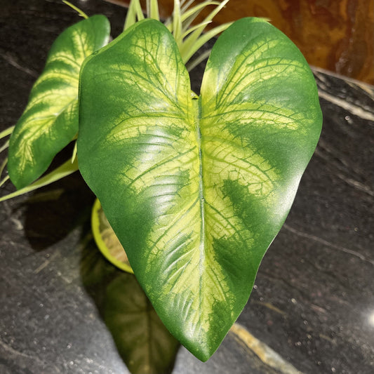 Komodo Artificial Plant Komodo Broadleaf Canopy