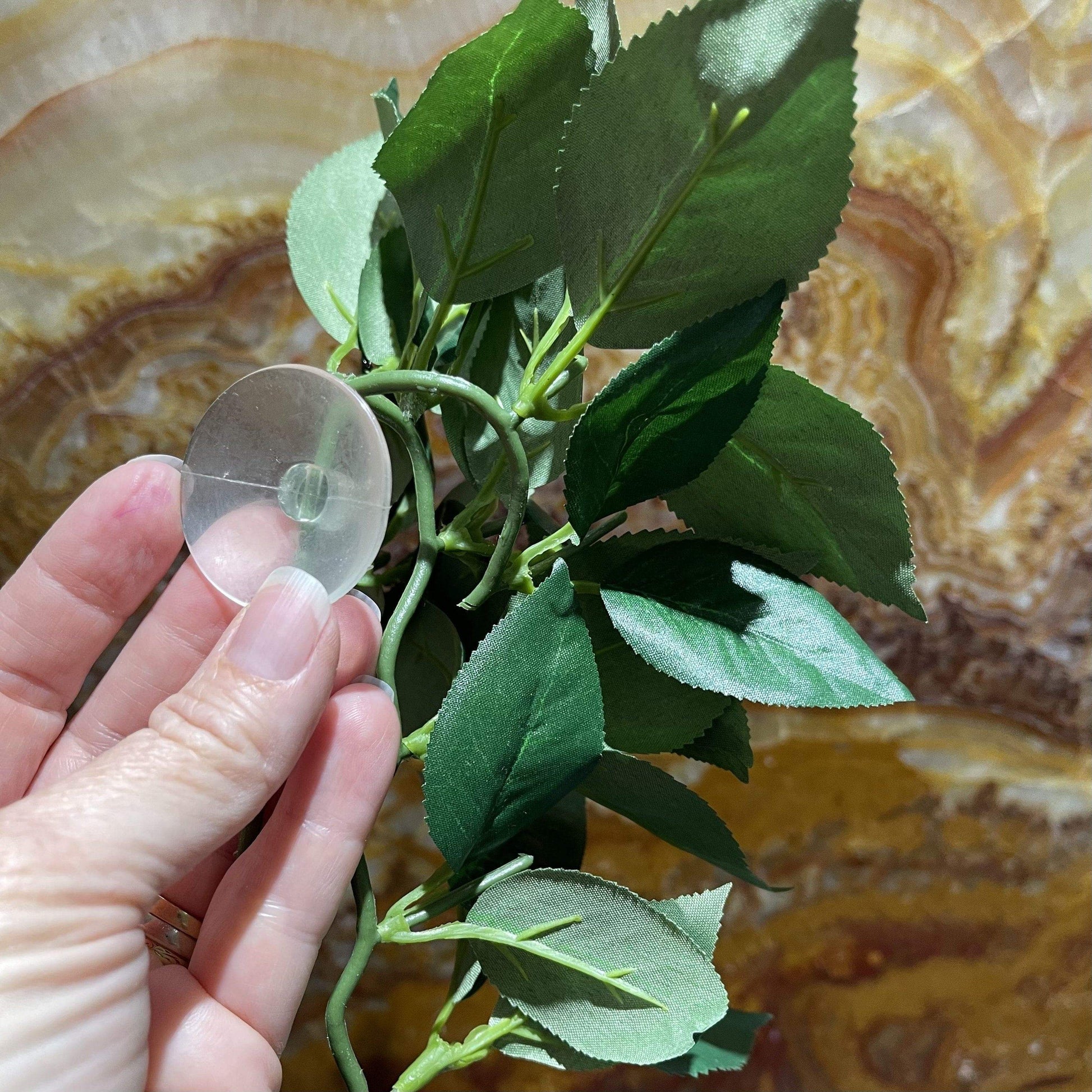 Komodo Artificial Plant Sumatra Hanging Vine Small