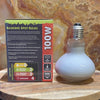 Komodo Bulb Komodo Basking Spot Bulb ES 100W