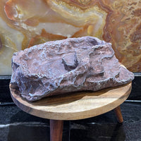Komodo Food Bowl Komodo Terraced Dish Brown Large