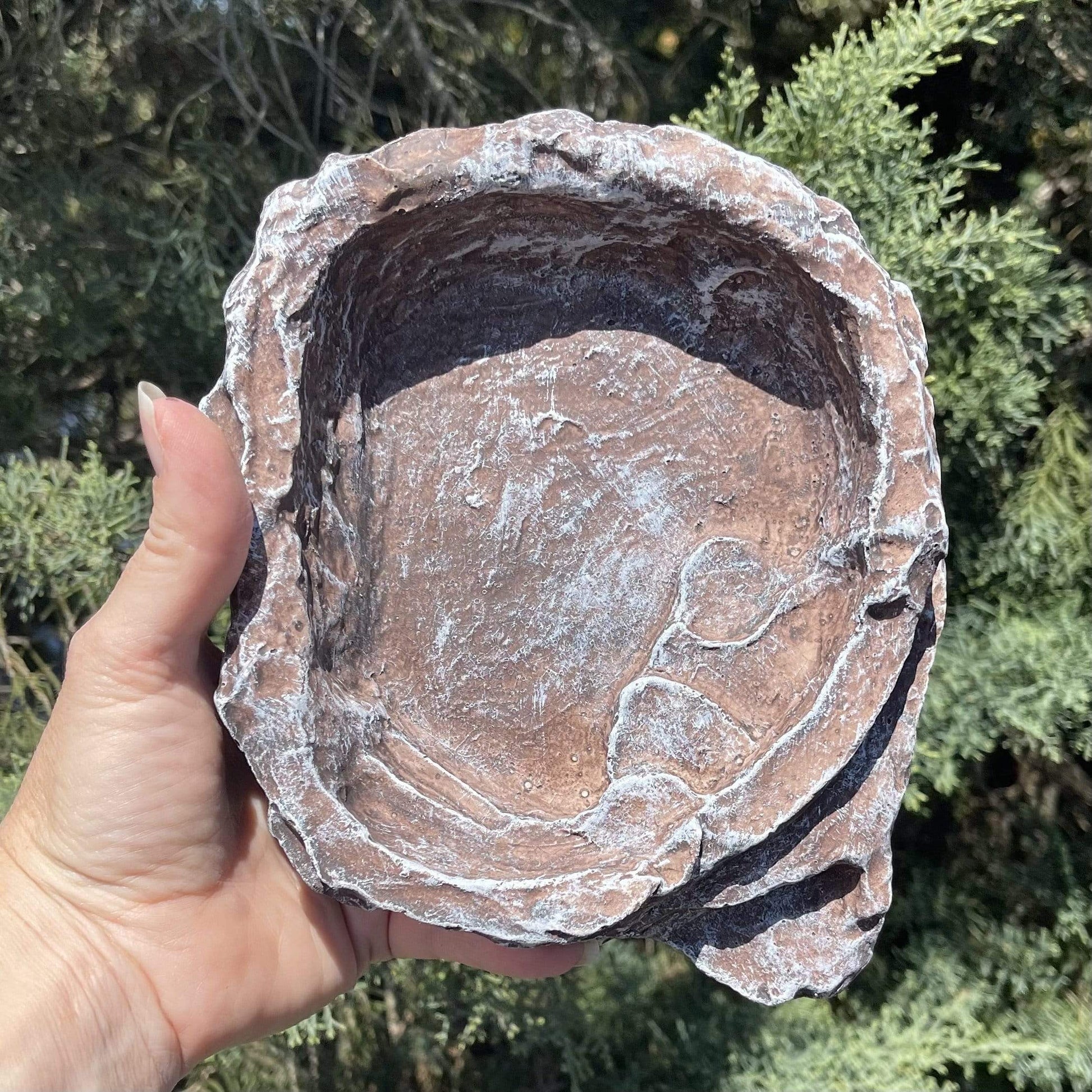 Komodo Food Bowl Komodo Terraced Dish Brown Medium