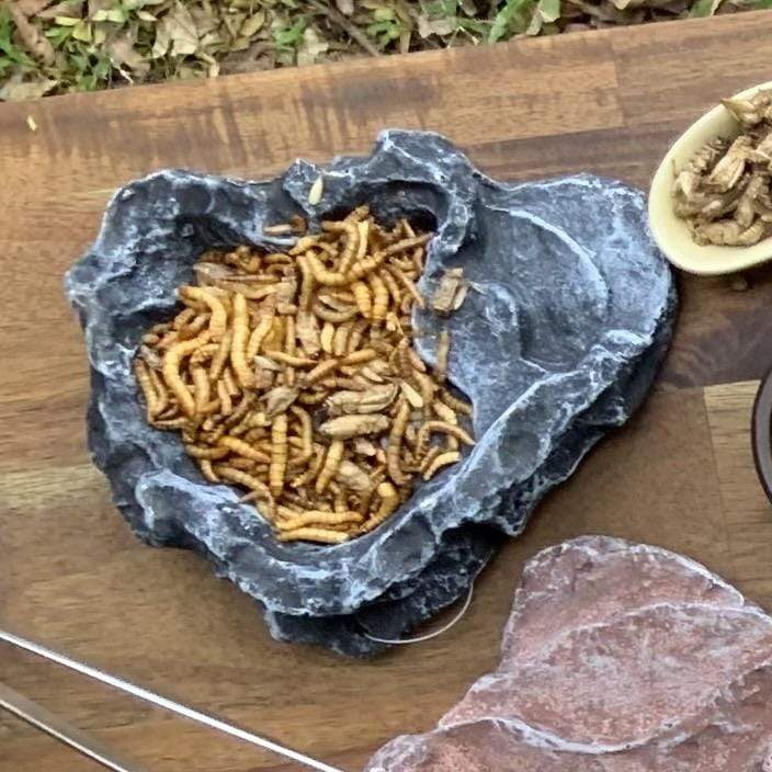Komodo Food Bowl Komodo Terraced Dish Grey Small