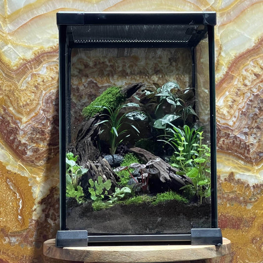 Komodo Nano Habitats Komodo Nano Habitat 21cm x 21cm x 30cm