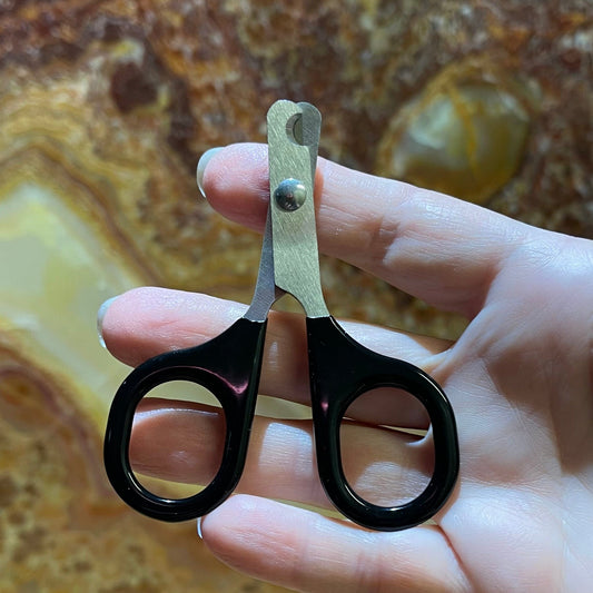 Komodo Pet Supplies Komodo Claw Clippers