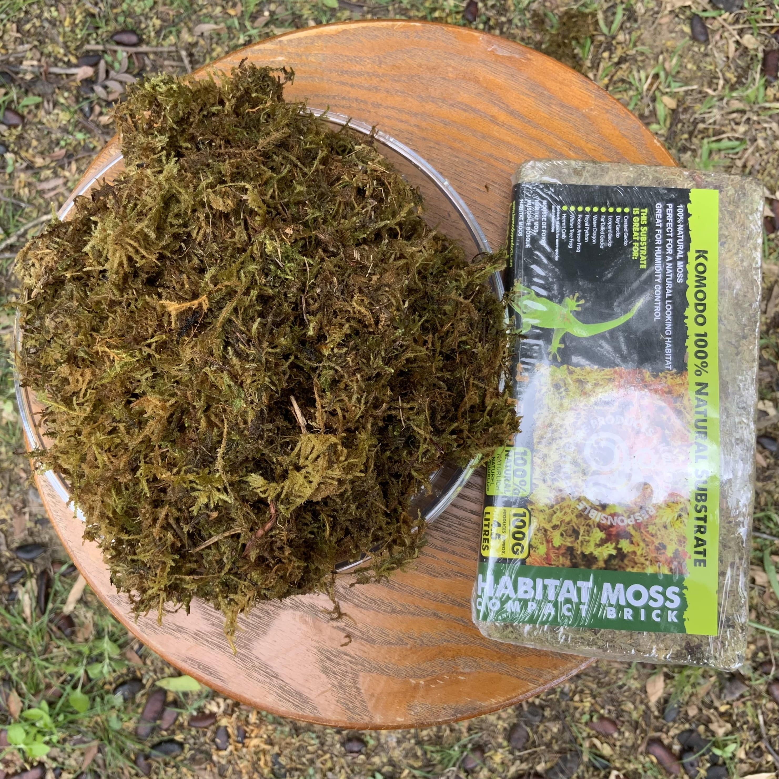 Komodo Reptile Bedding & Substrates Komodo Habitat Moss Compact Brick