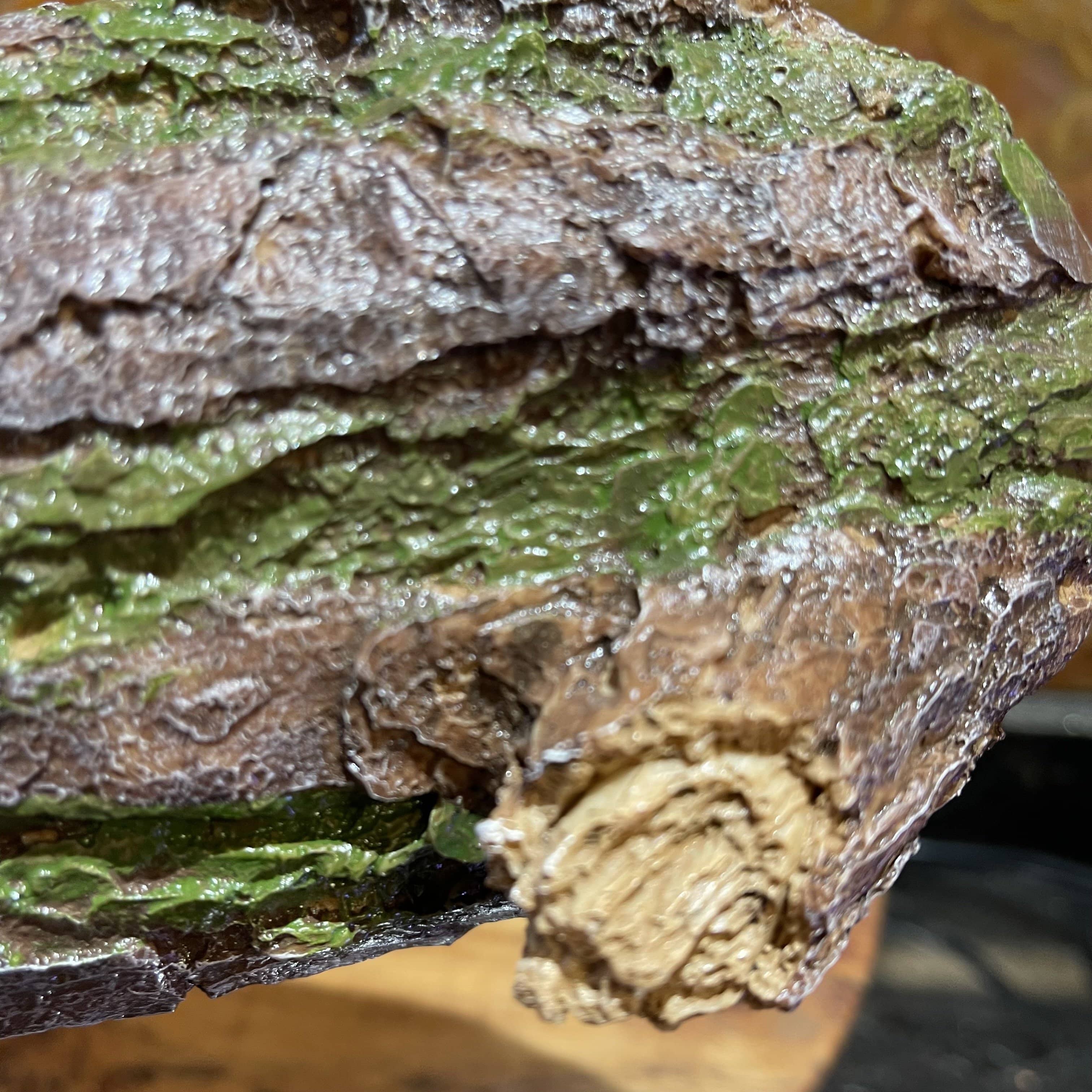 Komodo Resin Rock Decor Komodo Forest Log Hiding Den