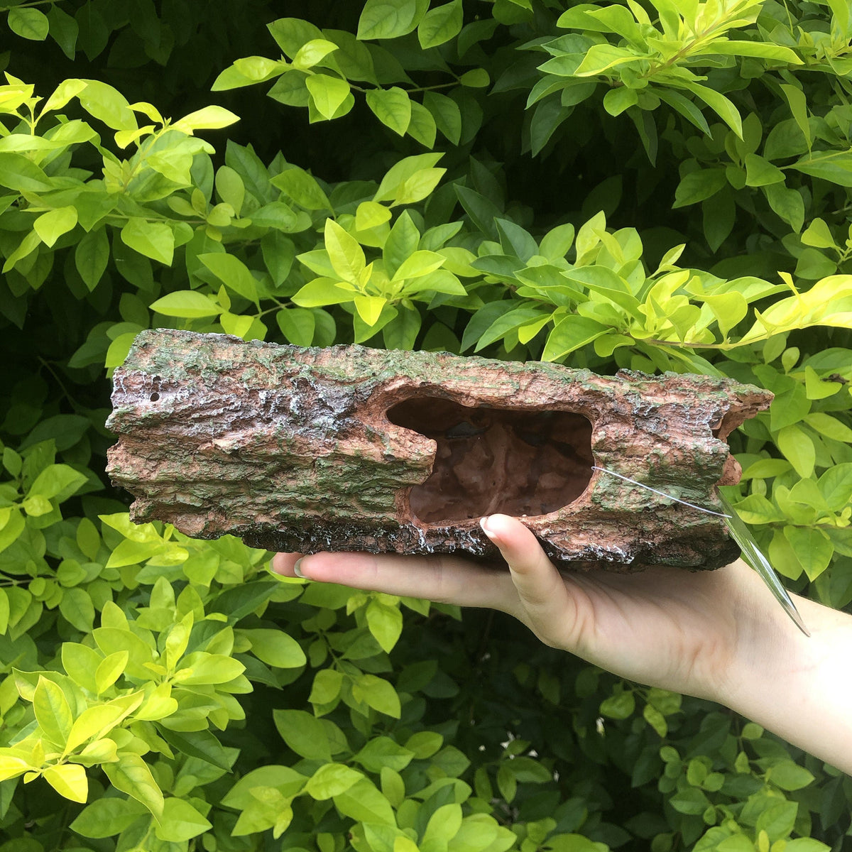 Large Resin Rocks Realistic Resin-Rock Decor & Ornaments – Reptile Realm
