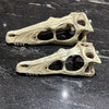 Load image into Gallery viewer, Komodo Resin Rock Decor Komodo Raptor Skull Large