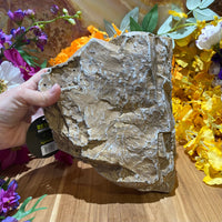 Komodo Resin Rock Decor Komodo Reptile Rock Den Sandstone Large