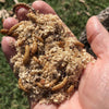 Load image into Gallery viewer, Pisces Enterprises Live Food Bulk Bulk Mealworms - Regular 1kg