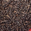 Pisces Enterprises Live Food Bulk Bulk Small Woodies (2000 Woodies)