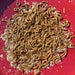 Pisces Enterprises Live Food Bulk Mini Bulk Mealworms - Regular 250g Pack