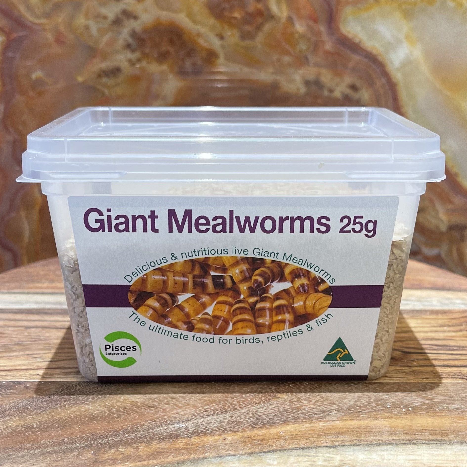 Pisces Enterprises Live Food Tub Giant Mealworms - Zophobas morio 25g Tub