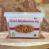 Pisces Enterprises Live Food Tub Giant Mealworms - Zophobas morio 50g Tub