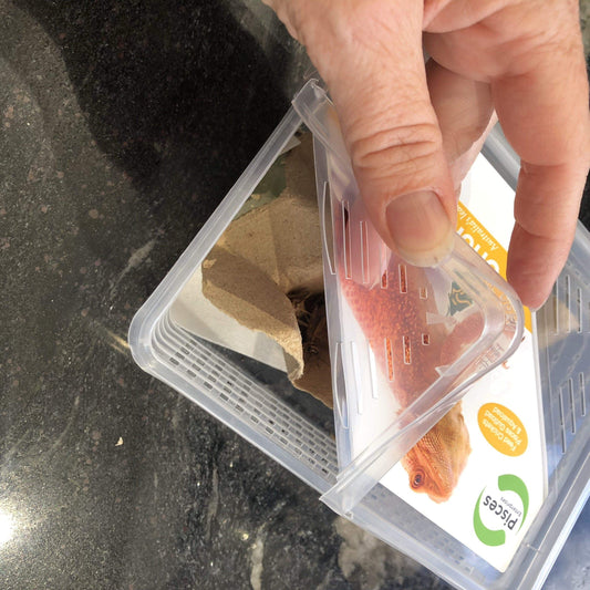 Pisces Enterprises Live Food Tub Large Cricket Tub