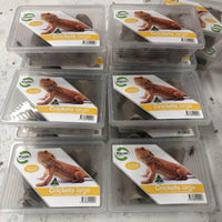 Pisces Enterprises Live Food Tub Large Cricket Tub