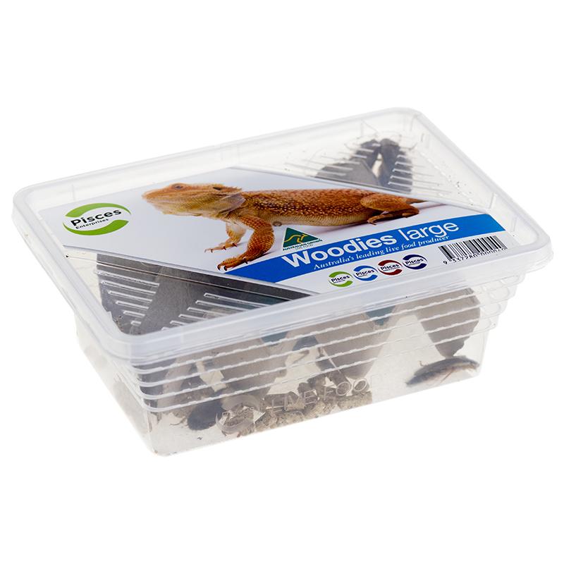 Pisces Enterprises Live Food Tub Live Food Large Woodies