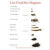 Pisces Enterprises Live Food Tub Mealworms - Regular 100g Tub