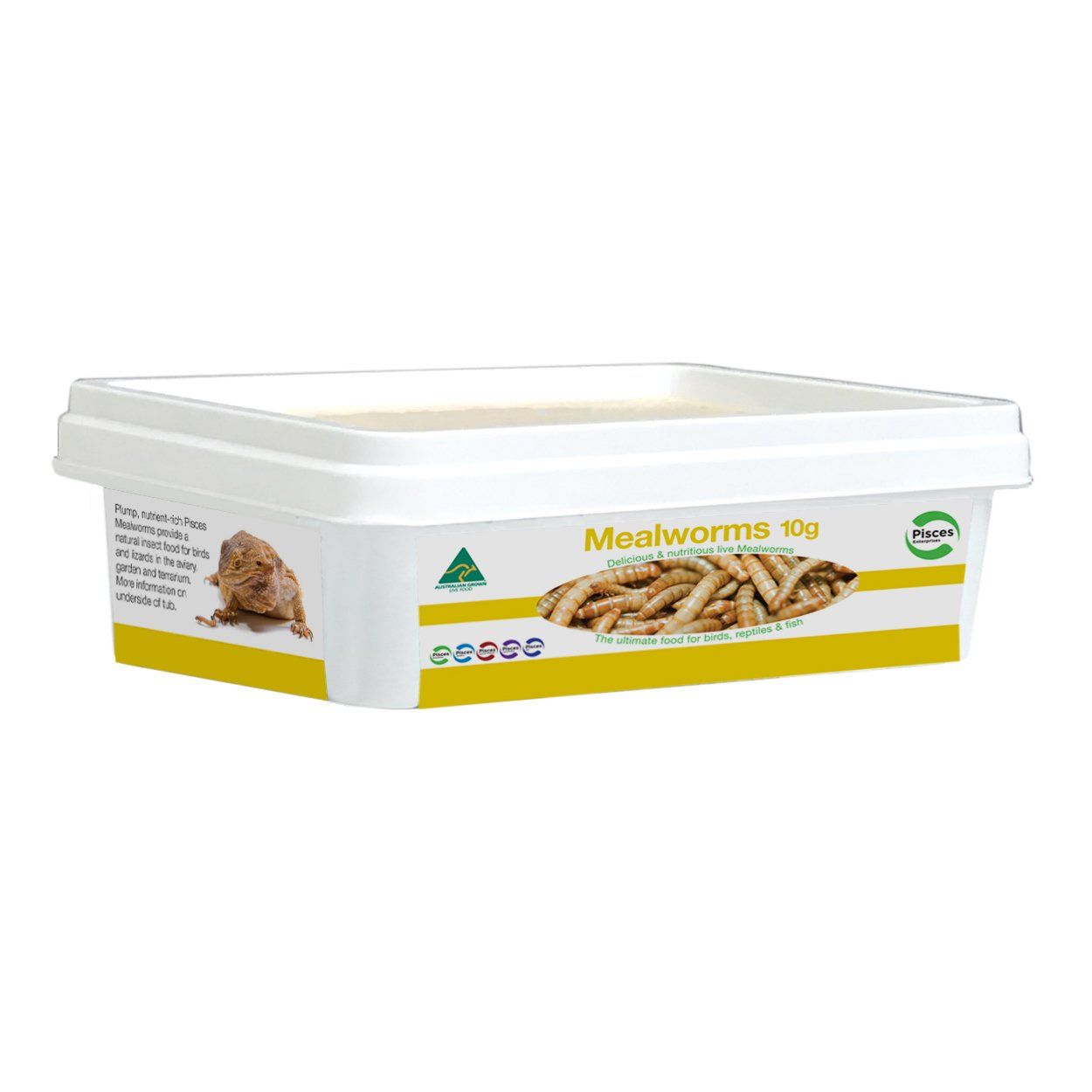 Pisces Enterprises Live Food Tub Mealworms - Regular 10g Tub