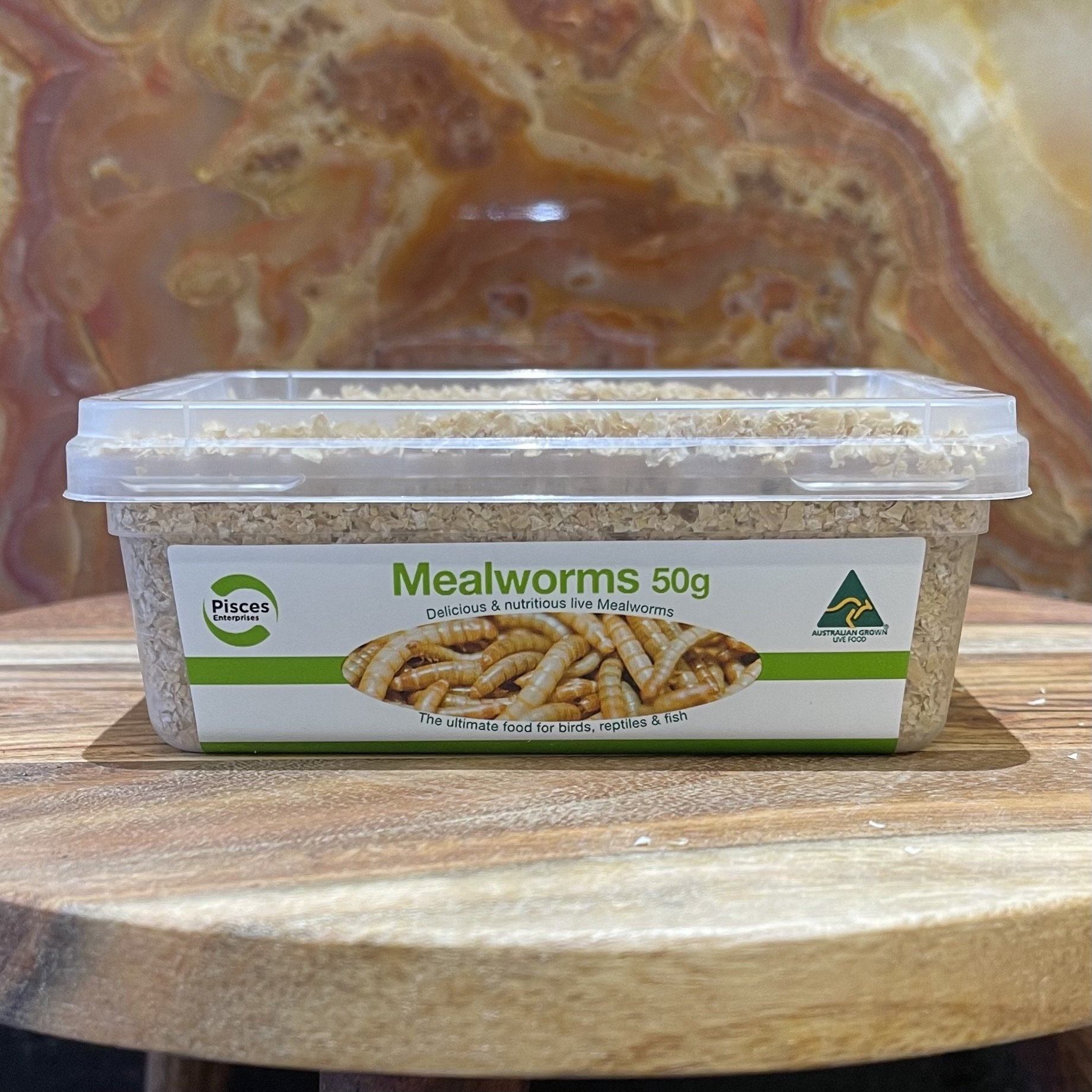 Pisces Enterprises Live Food Tub Mealworms - Regular 50g Tub