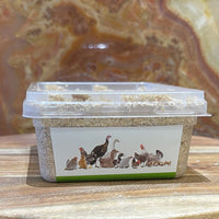 Pisces Enterprises Live Food Tub Mealworms - Regular 50g Tub
