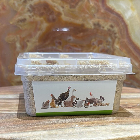 Pisces Enterprises Live Food Tub Mealworms - Regular 50g Tub